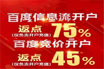 谷歌竞价案例：成功案例分析及启示